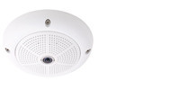 Hemispheric Q22